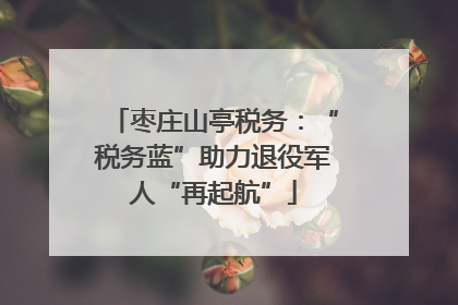 枣庄山亭税务：“税务蓝”助力退役军人“再起航”