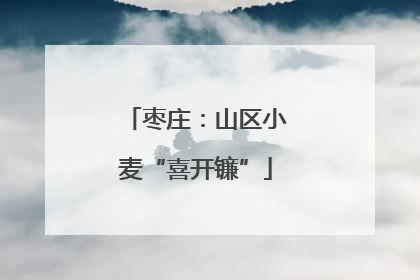 枣庄：山区小麦“喜开镰”