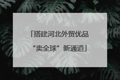 搭建河北外贸优品“卖全球”新通道