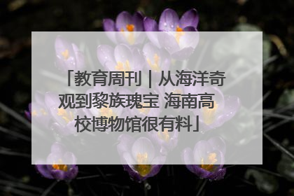教育周刊｜从海洋奇观到黎族瑰宝 海南高校博物馆很有料