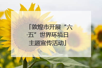敦煌市开展“六·五”世界环境日主题宣传活动