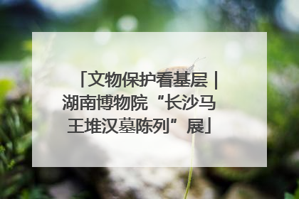 文物保护看基层｜湖南博物院“长沙马王堆汉墓陈列”展