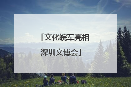 文化皖军亮相深圳文博会