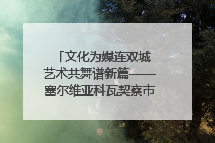 文化为媒连双城 艺术共舞谱新篇——塞尔维亚科瓦契察市代表团访问日照