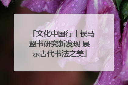 文化中国行丨侯马盟书研究新发现 展示古代书法之美
