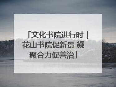 文化书院进行时｜花山书院促新景 凝聚合力促善治