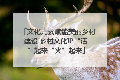 文化元素赋能美丽乡村建设 乡村文化IP“活”起来“火”起来