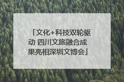 文化+科技双轮驱动 四川文旅融合成果亮相深圳文博会
