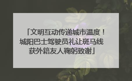 文明互动传递城市温度！城阳巴士驾驶员礼让斑马线获外籍友人鞠躬致谢