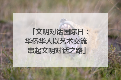 文明对话国际日：华侨华人以艺术交流串起文明对话之路
