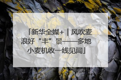新华全媒+｜风吹麦浪好“丰”景——多地小麦机收一线见闻
