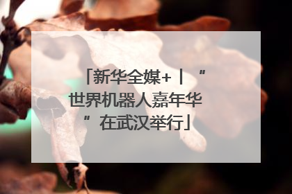 新华全媒+丨“世界机器人嘉年华”在武汉举行