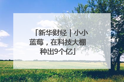 新华财经｜小小蓝莓，在科技大棚种出9个亿