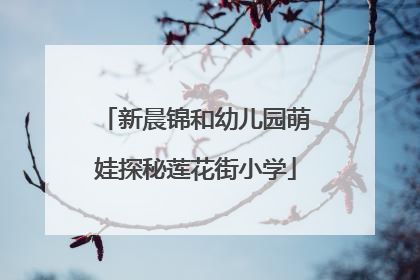 新晨锦和幼儿园萌娃探秘莲花街小学