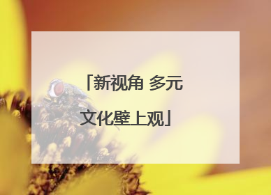 新视角 多元文化壁上观