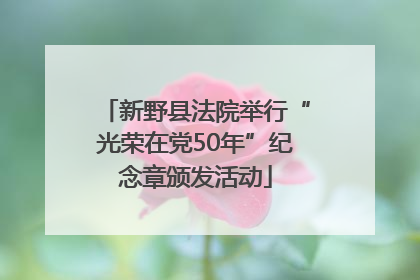 新野县法院举行“光荣在党50年”纪念章颁发活动