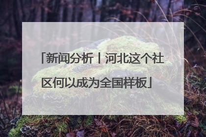 新闻分析丨河北这个社区何以成为全国样板
