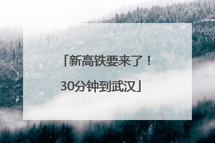 新高铁要来了！30分钟到武汉