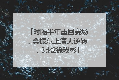 时隔半年重回赛场，樊振东上演大逆转，3比2徐瑛彬