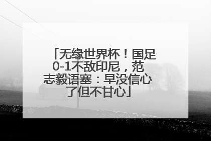 无缘世界杯！国足0-1不敌印尼，范志毅语塞：早没信心了但不甘心