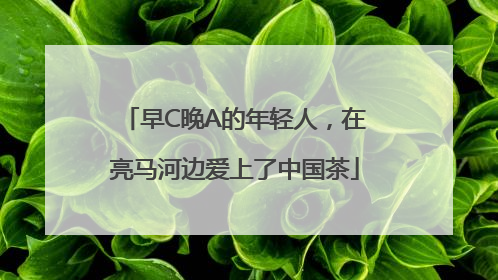 早C晚A的年轻人，在亮马河边爱上了中国茶