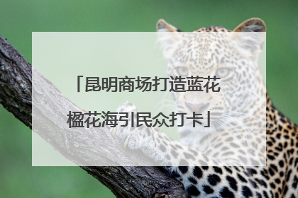 昆明商场打造蓝花楹花海引民众打卡