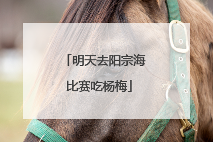 明天去阳宗海比赛吃杨梅