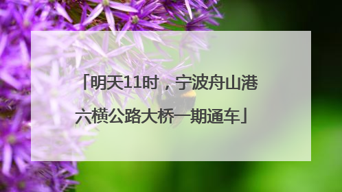 明天11时，宁波舟山港六横公路大桥一期通车