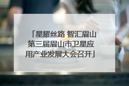 星耀丝路 智汇眉山 第三届眉山市卫星应用产业发展大会召开