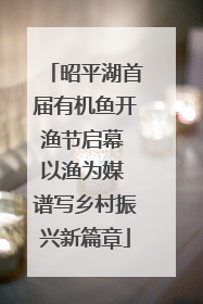 昭平湖首届有机鱼开渔节启幕 以渔为媒 谱写乡村振兴新篇章
