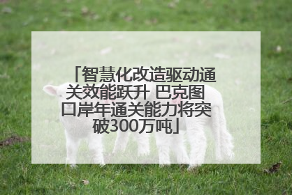 智慧化改造驱动通关效能跃升 巴克图口岸年通关能力将突破300万吨