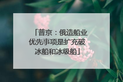 普京：俄造船业优先事项是扩充破冰船和冰级船