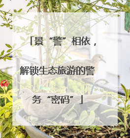 景“警”相依，解锁生态旅游的警务“密码”