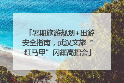 暑期旅游规划+出游安全指南，武汉文旅“红马甲”闪耀高招会