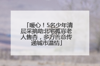 暖心！5名少年清晨采摘助北宅孤寡老人售杏，多方善意传递城市温情