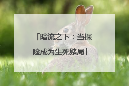 暗流之下：当探险成为生死赌局