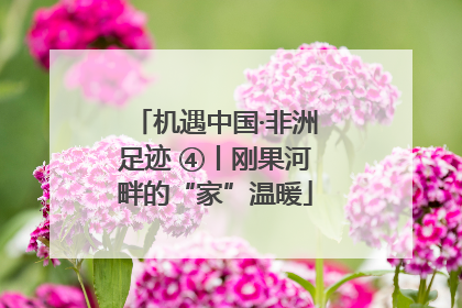 机遇中国·非洲足迹 ④丨刚果河畔的“家”温暖