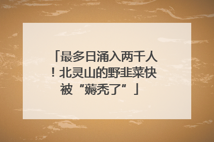 最多日涌入两千人！北灵山的野韭菜快被“薅秃了”