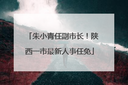 朱小青任副市长！陕西一市最新人事任免