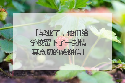 毕业了，他们给学校留下了一封情真意切的感谢信