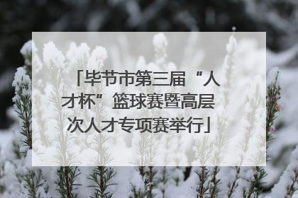毕节市第三届“人才杯”篮球赛暨高层次人才专项赛举行