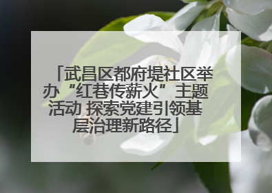 武昌区都府堤社区举办“红巷传薪火”主题活动 探索党建引领基层治理新路径