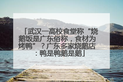 武汉一高校食堂称“烧鹅饭是广东俗称，食材为烤鸭”？广东多家烧鹅店：鸭是鸭鹅是鹅