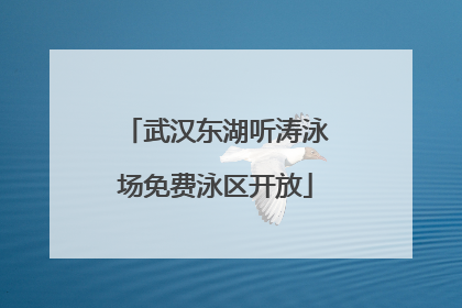 武汉东湖听涛泳场免费泳区开放