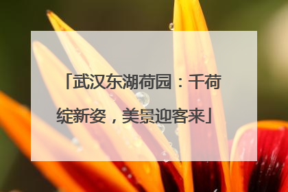 武汉东湖荷园：千荷绽新姿，美景迎客来