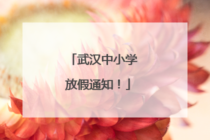武汉中小学放假通知!