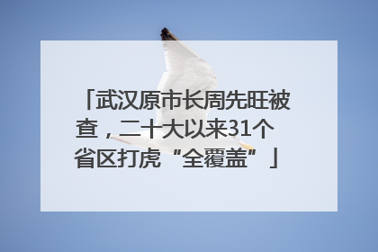 武汉原市长周先旺被查，二十大以来31个省区打虎“全覆盖”