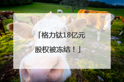 格力钛18亿元股权被冻结！