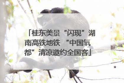 桂东美景“闪现”湖南高铁地铁 “中国氧都”清凉邀约全国客