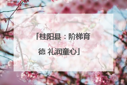 桂阳县：阶梯育德 礼润童心
